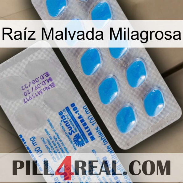 Raíz Malvada Milagrosa new15.jpg